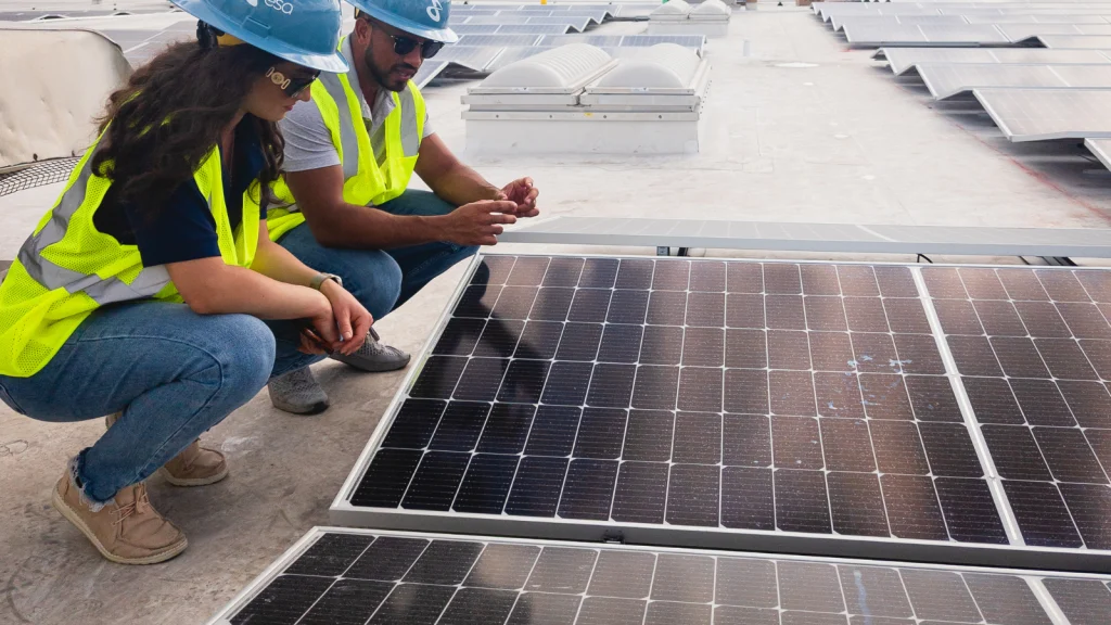 A Business' Guide To Investing In Solar Panels