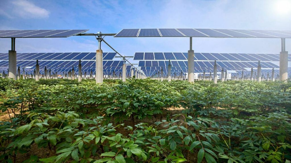 The Farmer's Guide to Solar Energy